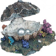 Flamingo Aquarium decoratie Schelp