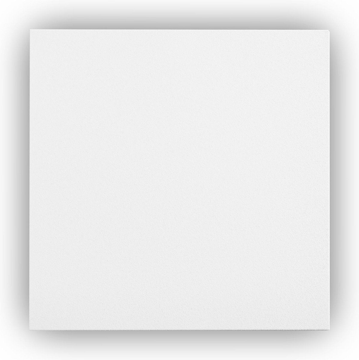 Ecosun E300 Infrarood Verwarmingspaneel - Infrarood Verwarming / Infraroodpaneel - 300 watt - Systeemplafond en plafond - Thermokristalcoating structuur infrarood paneel - Zonder stekker