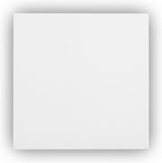 Ecosun E300 Infrarood Verwarmingspaneel - Infrarood Verwarming / Infraroodpaneel - 300 watt - Systeemplafond en plafond - Thermokristalcoating structuur infrarood paneel - Zonder stekker