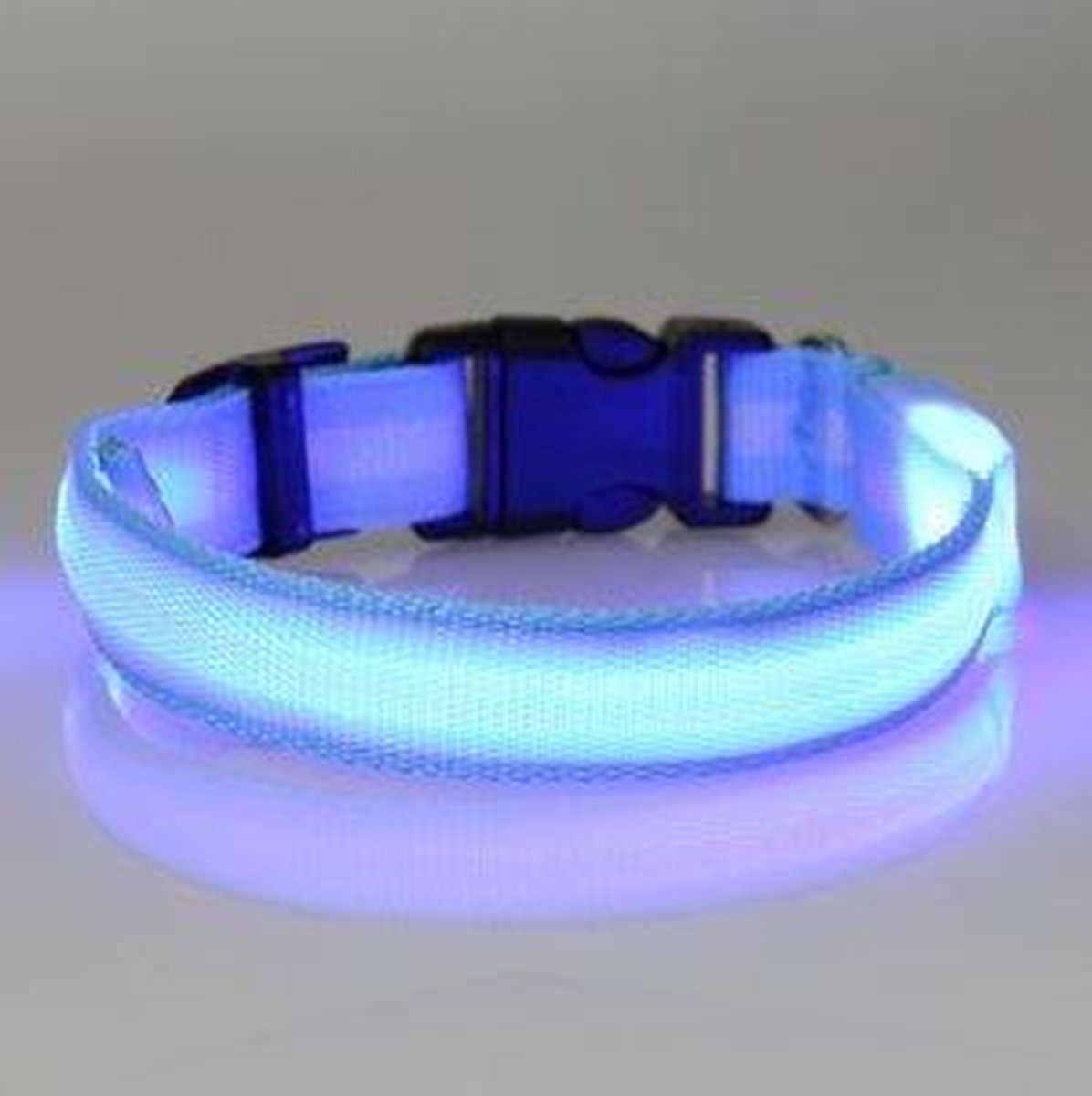 hondenhalsband led verlichting large blauw
