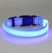 hondenhalsband led verlichting large blauw