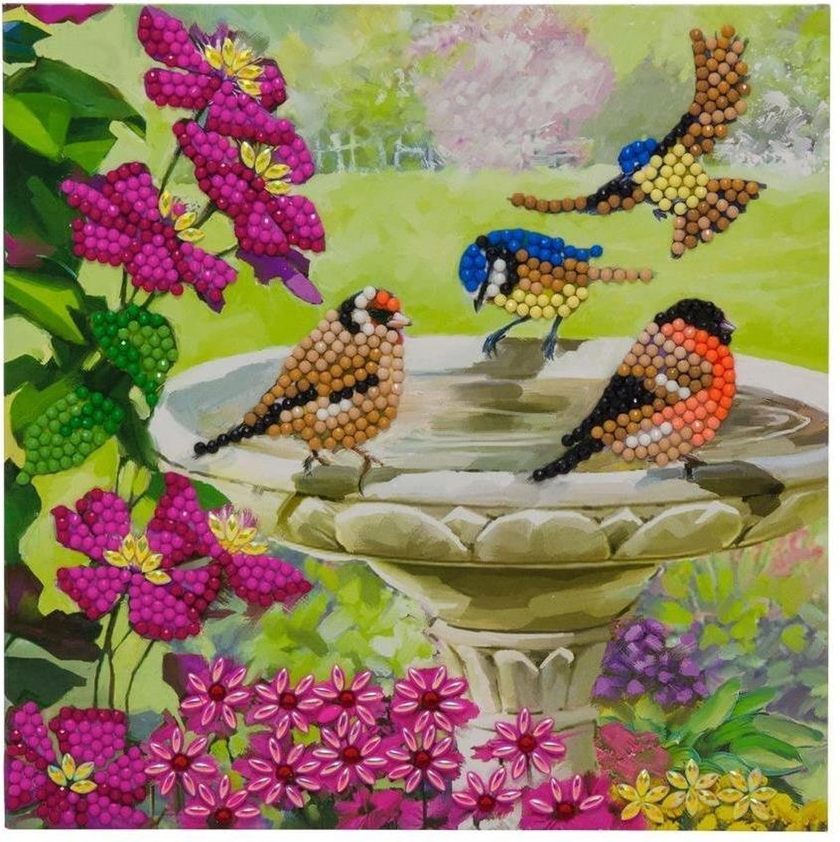 Craft Buddy Crystal Art Diamond Painting Kaart Vogels
