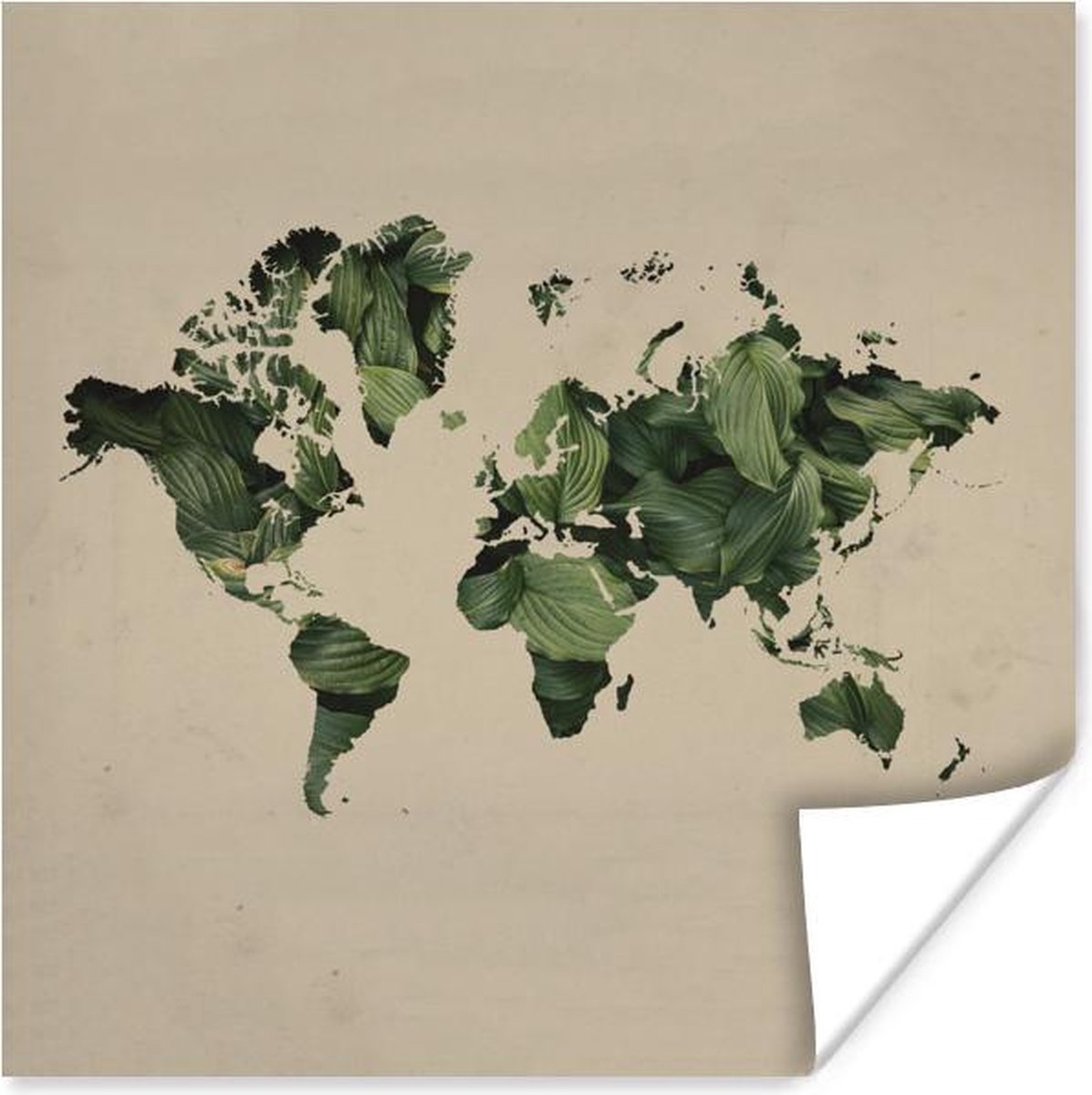 Muurdecoratie - Wereldkaart - Planten - Patroon - 50x50 cm - Poster