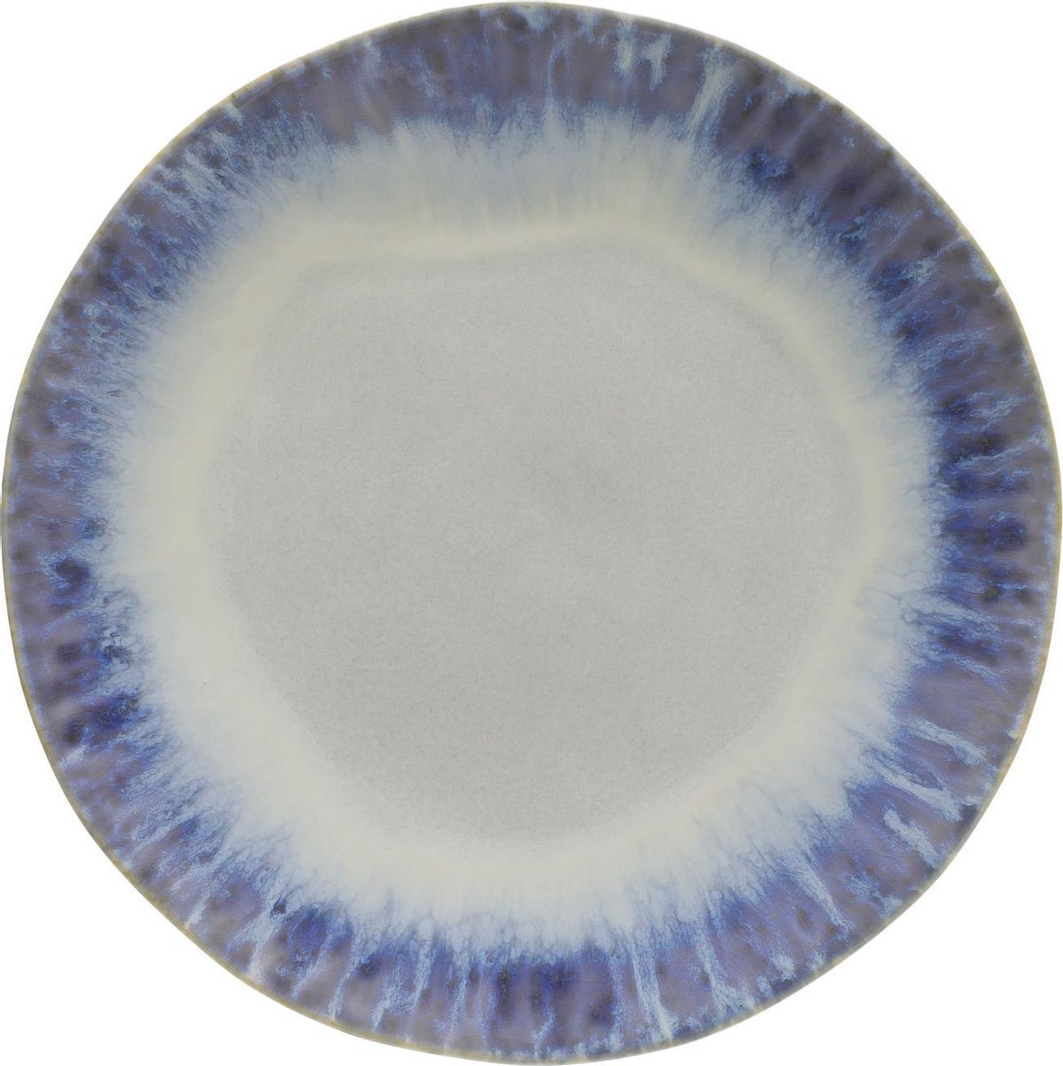 Costa Nova - servies - dinerbord blauw - aardewerk - set van 2 - 26 cm rond