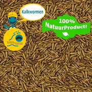 Kalkwormen voor Waterschildpadden (Natuurproduct)