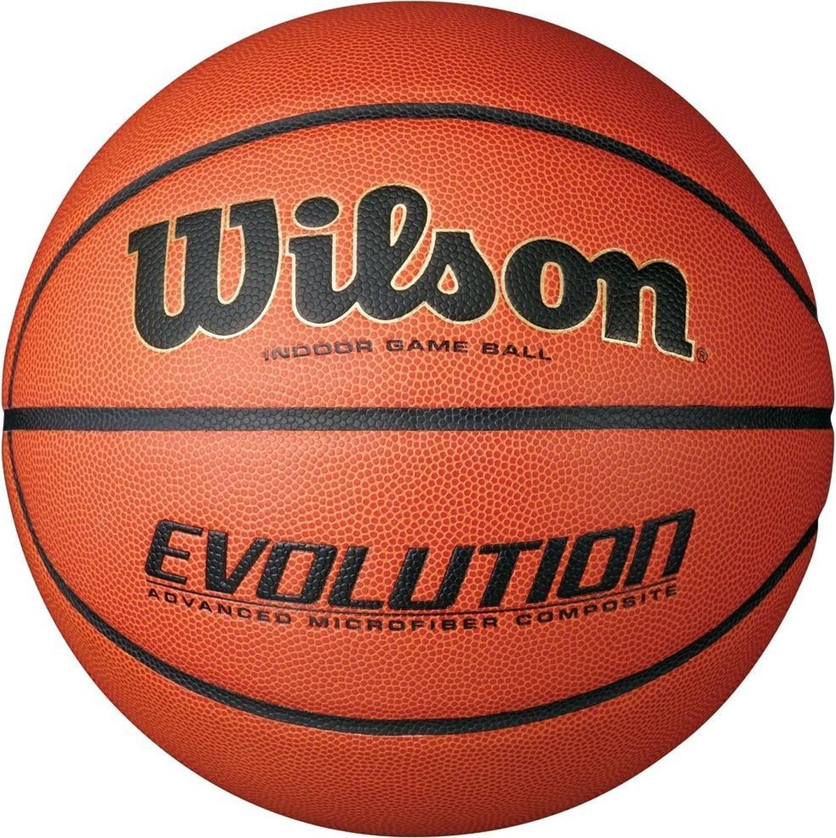 Wilson Evolution Game Indoor - size 6