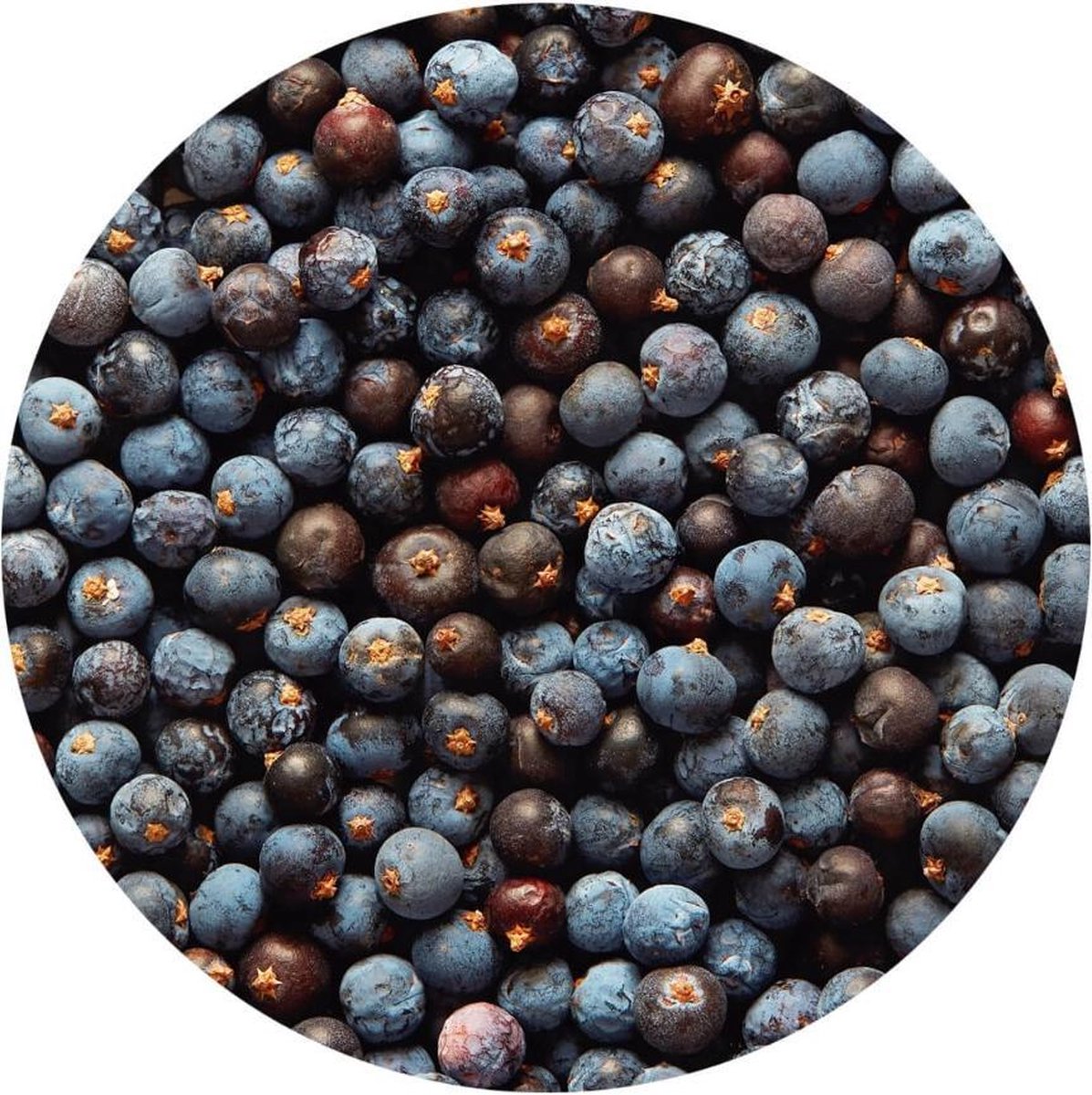 Jeneverbessen Heel kiemarm - 1 Kg - Holyflavours -  Biologisch gecertificeerd