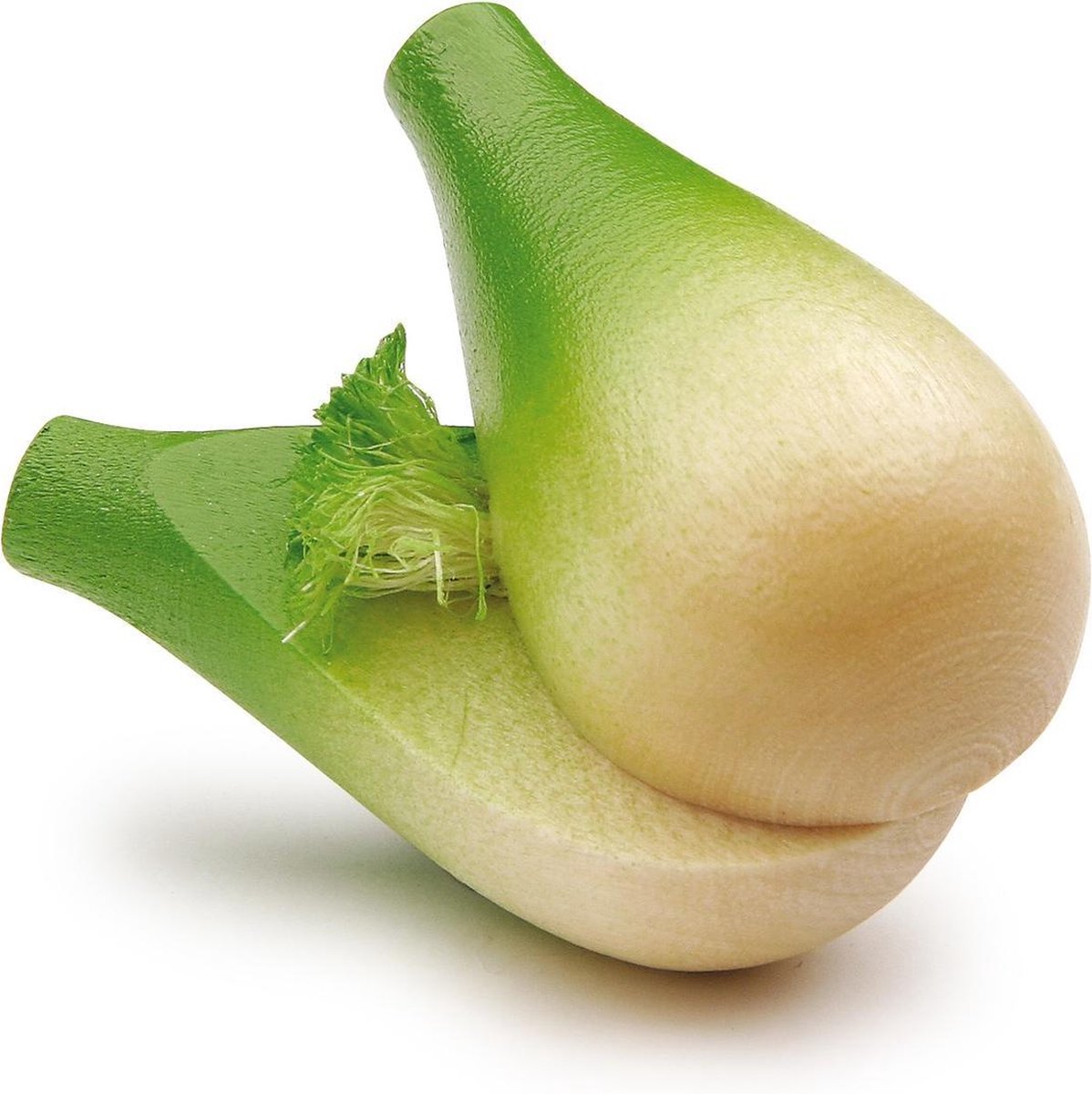 Venkelknol