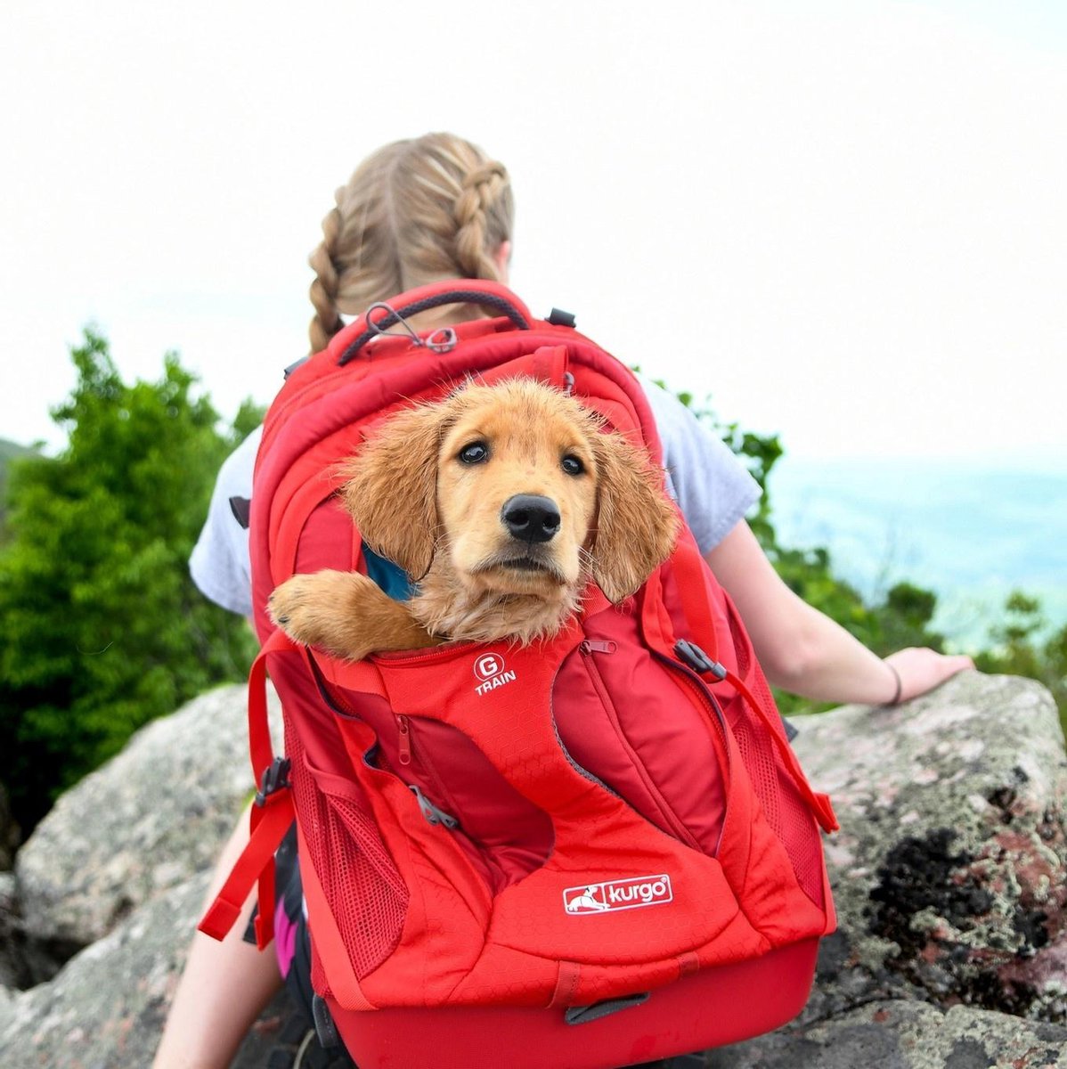 Kurgo K9 - Hondenrugzak voor Kleine Honden - levenslange garantie - veelzijdig gebruik