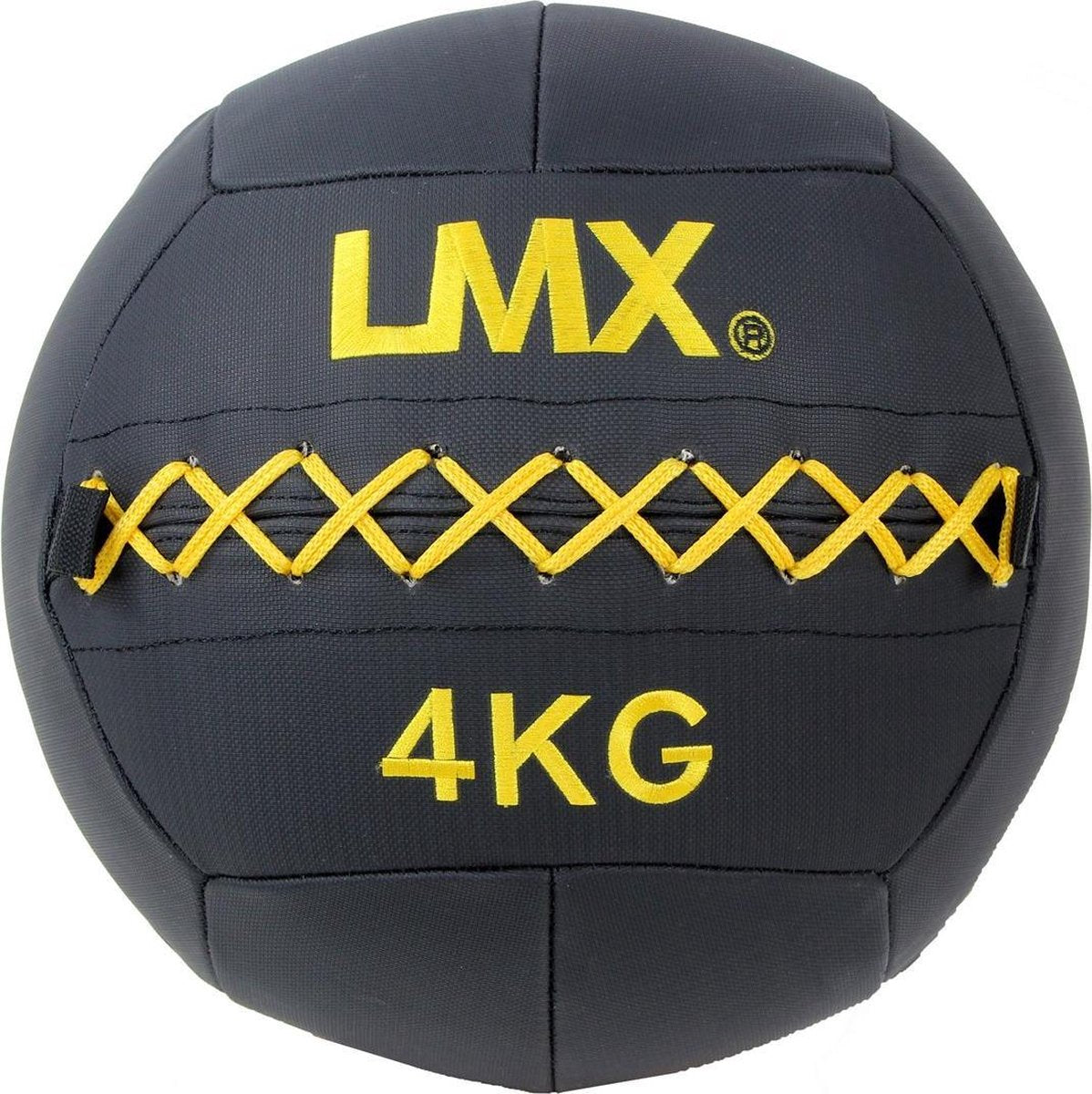 Lifemaxx Wall Ball Premium - 4 kg