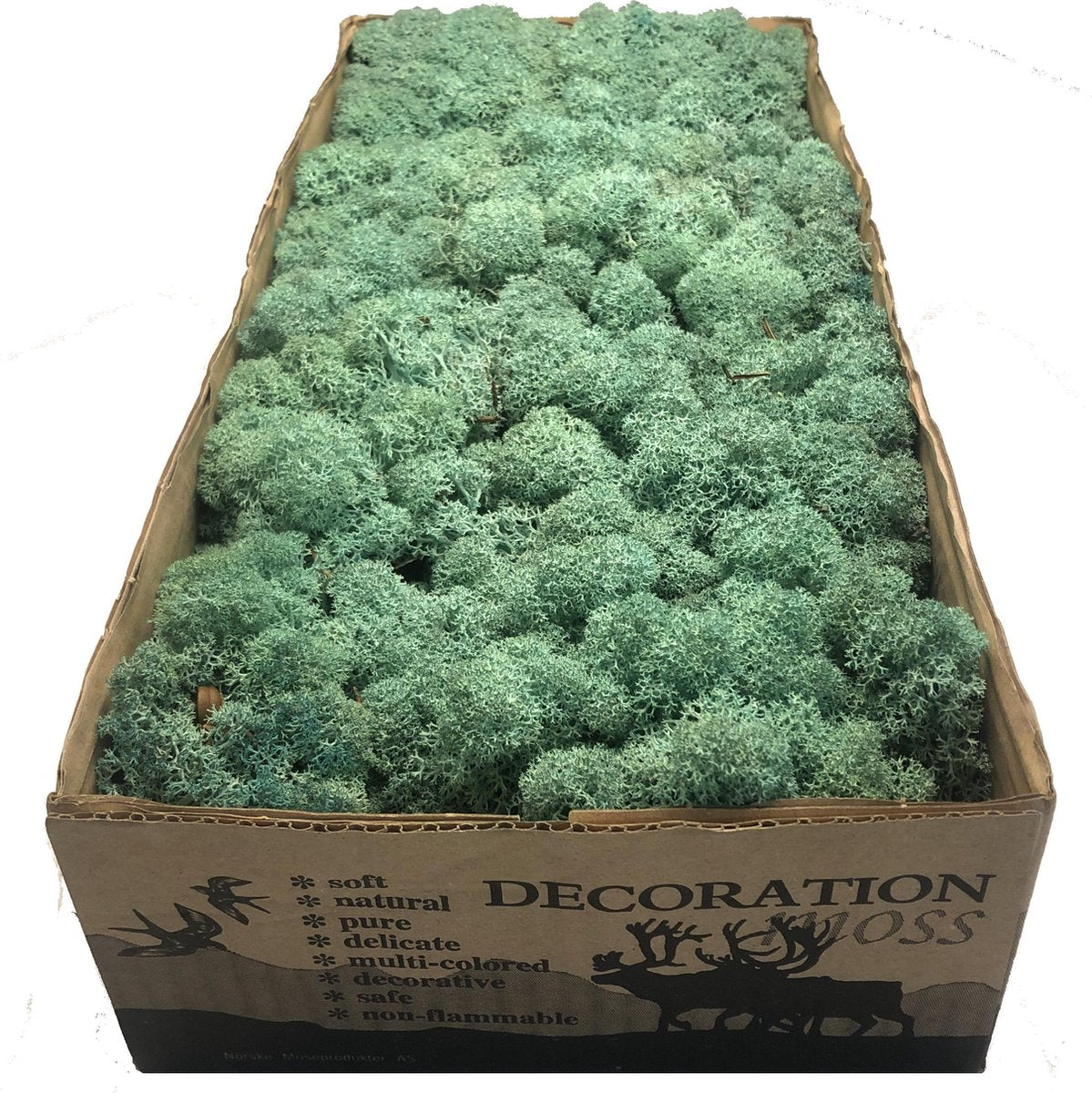 MosBiz Rendiermos Pacific green per 500 gram voor decoraties