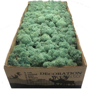 MosBiz Rendiermos Pacific green per 500 gram voor decoraties