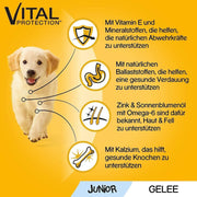 Pedigree puppies hondenvoer in 48 zakjes x 100g= 4.8 kg of natvoer voor puppies en jonge honden