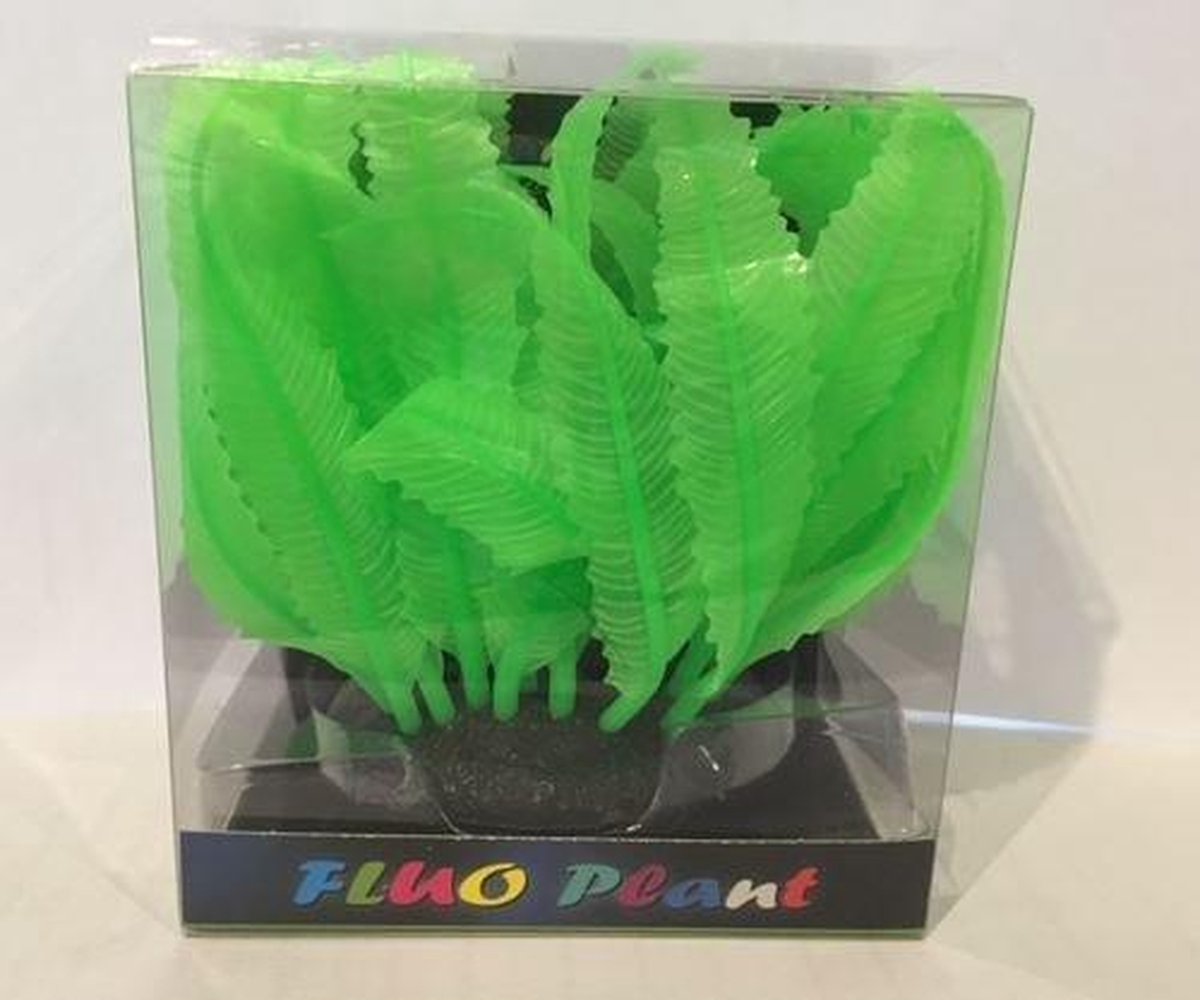 SF fluo plant fern groen