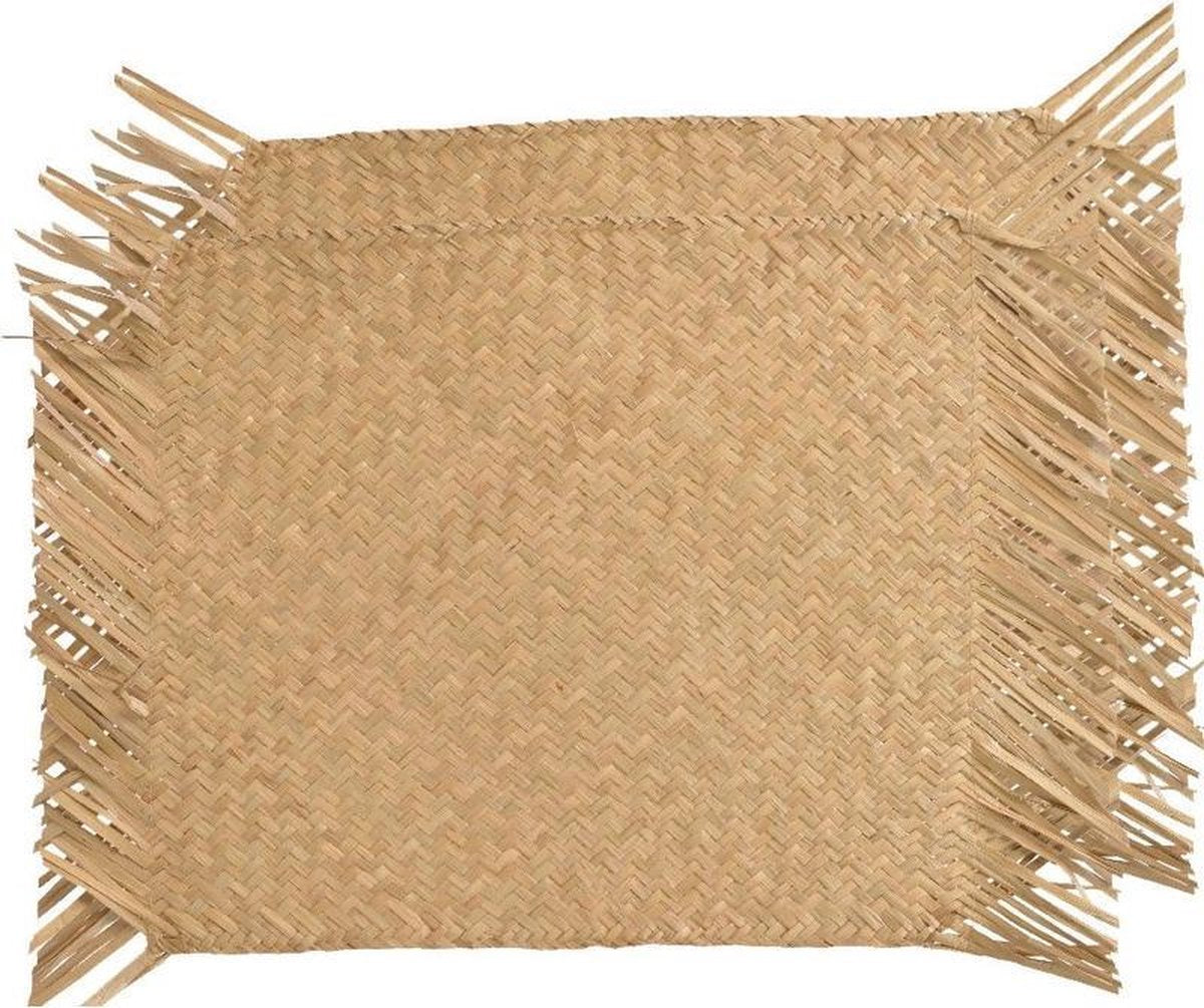 2x Beige/naturel gevlochten placemats 30 x 45 cm rechthoek - Eco/duurzaam thema tafeldecoraties versieringen