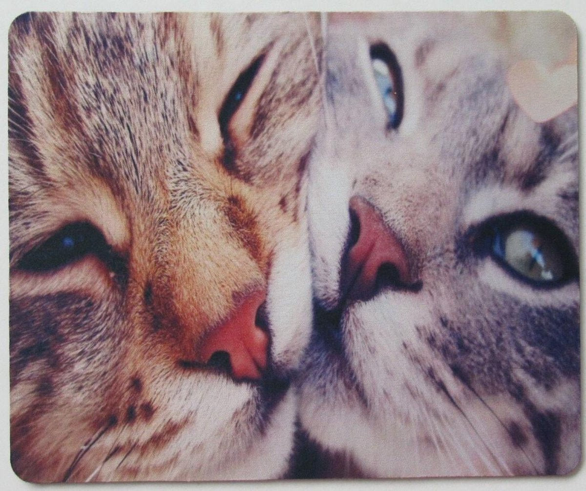 Kattenhebbedingen - Muismat - Kat - Voor de kattenliefhebber - Knuffelende katten