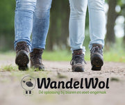 WandelWol 40 gram - De Oplossing bij Blaren en Voet Ongemak - Antidruk & Antiblaar