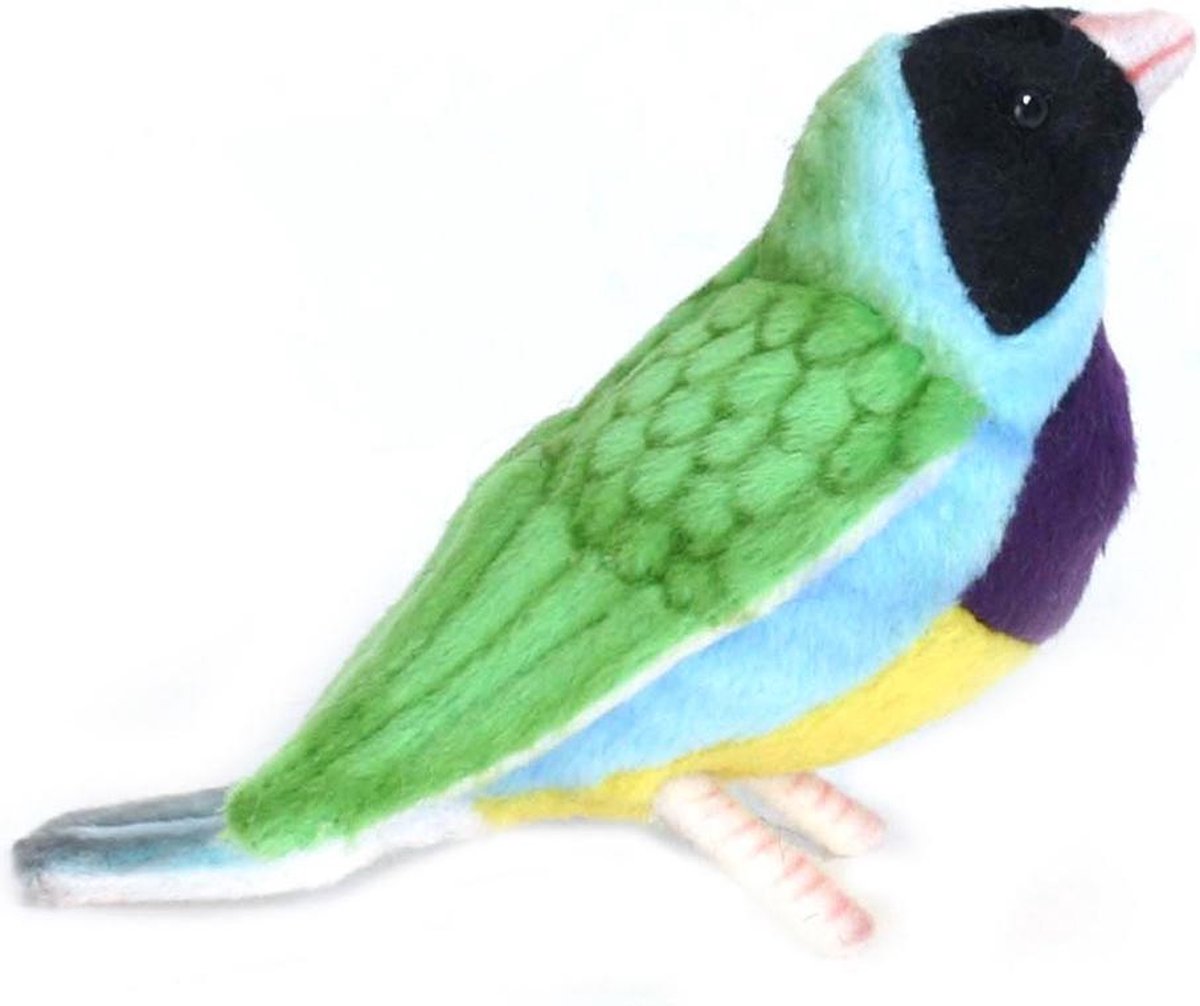 Hansa Gouldamadine Zwart 11 cm