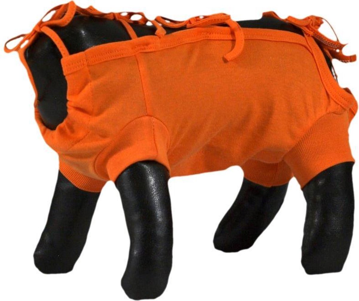 Grande Finale Medical Pet Suite