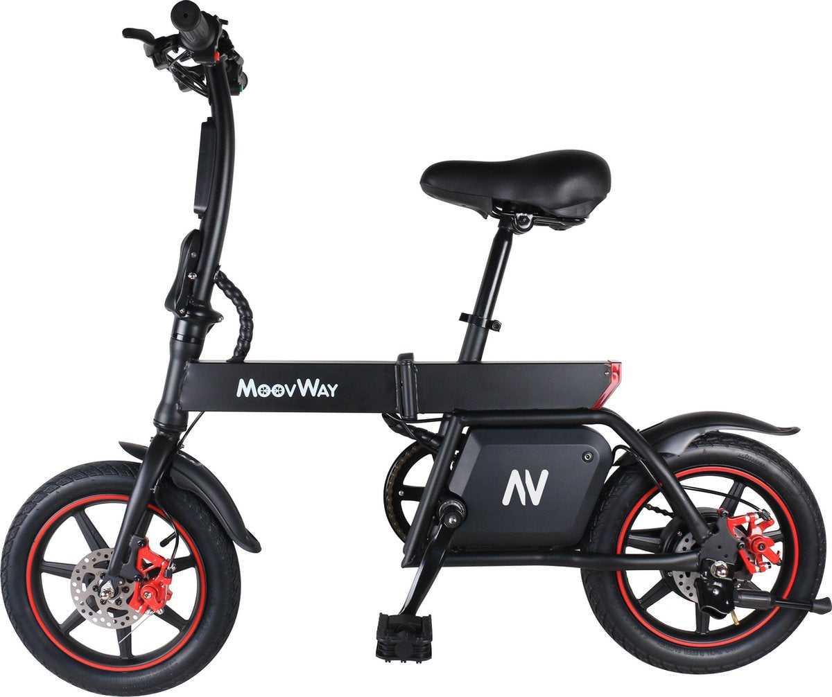 EasyGO Windgoo B20 - Elektrische fiets - met trapondersteuning - Zwart - 25 km per uur