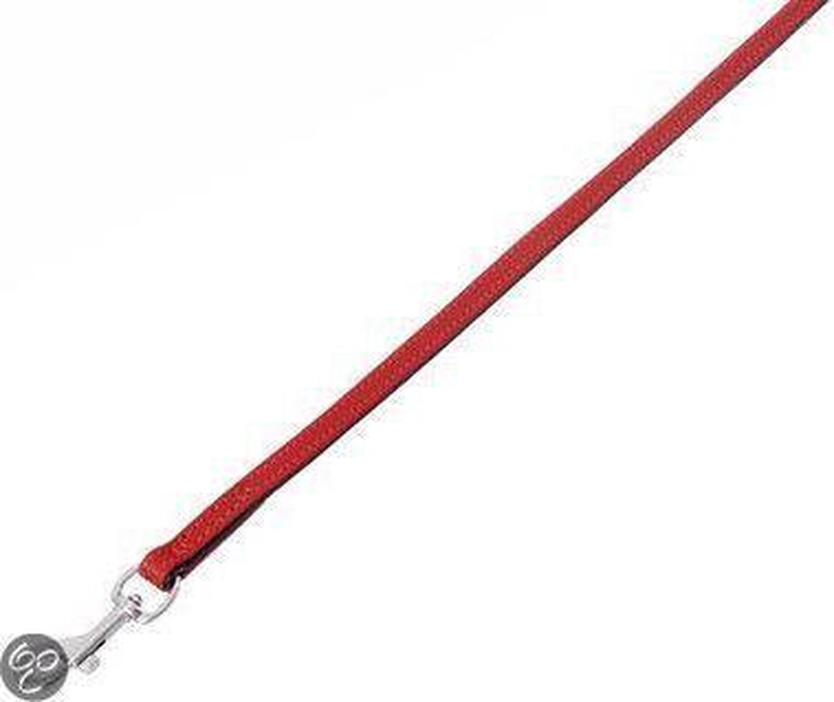 Vintage leash red