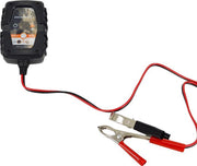 PROENERG 10M 6/12V 1A