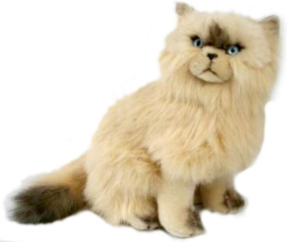 Bicolini Knuffelpoes Zittende Siamese Kat 30 Cm