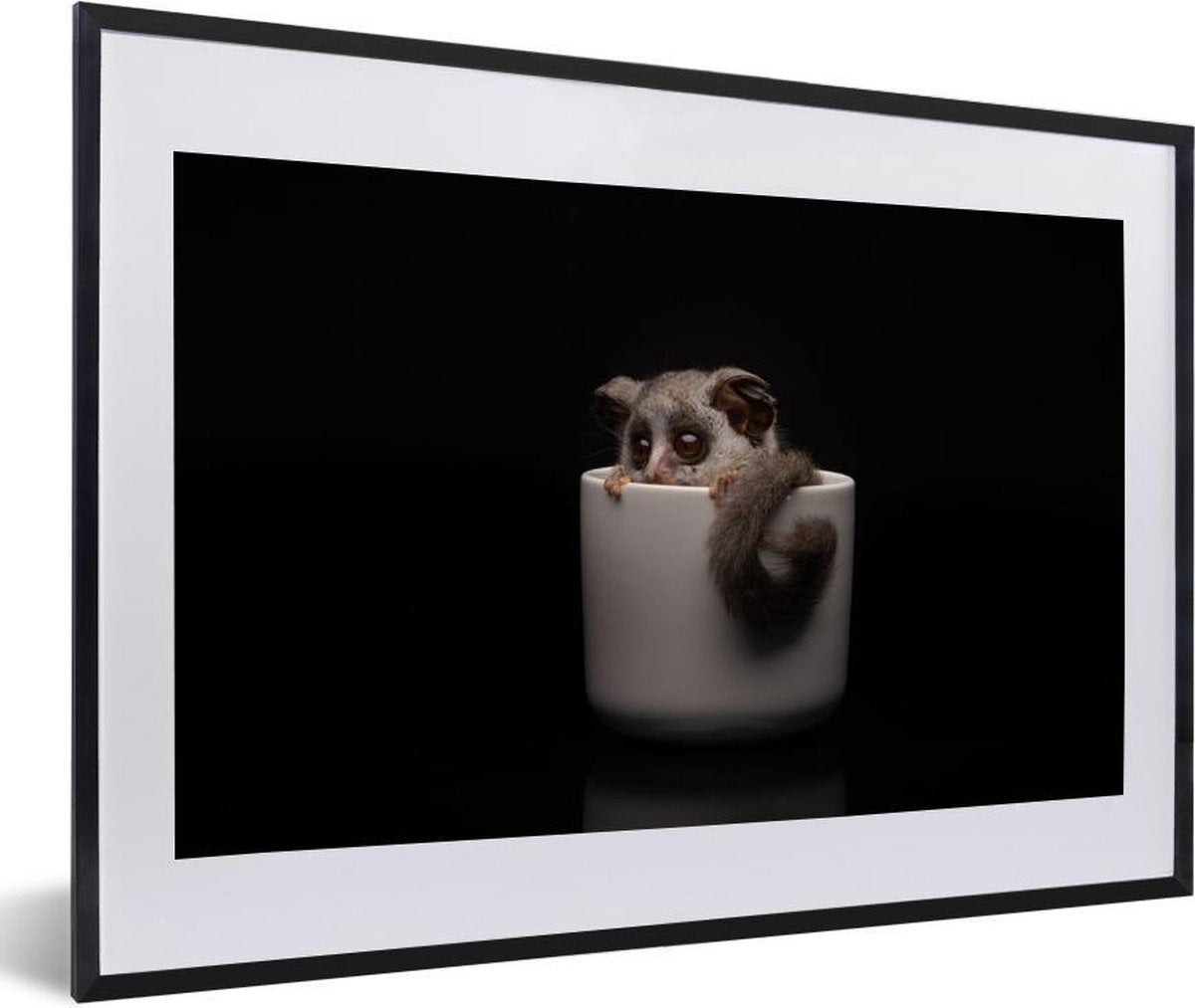 Galago baby in een witte beker