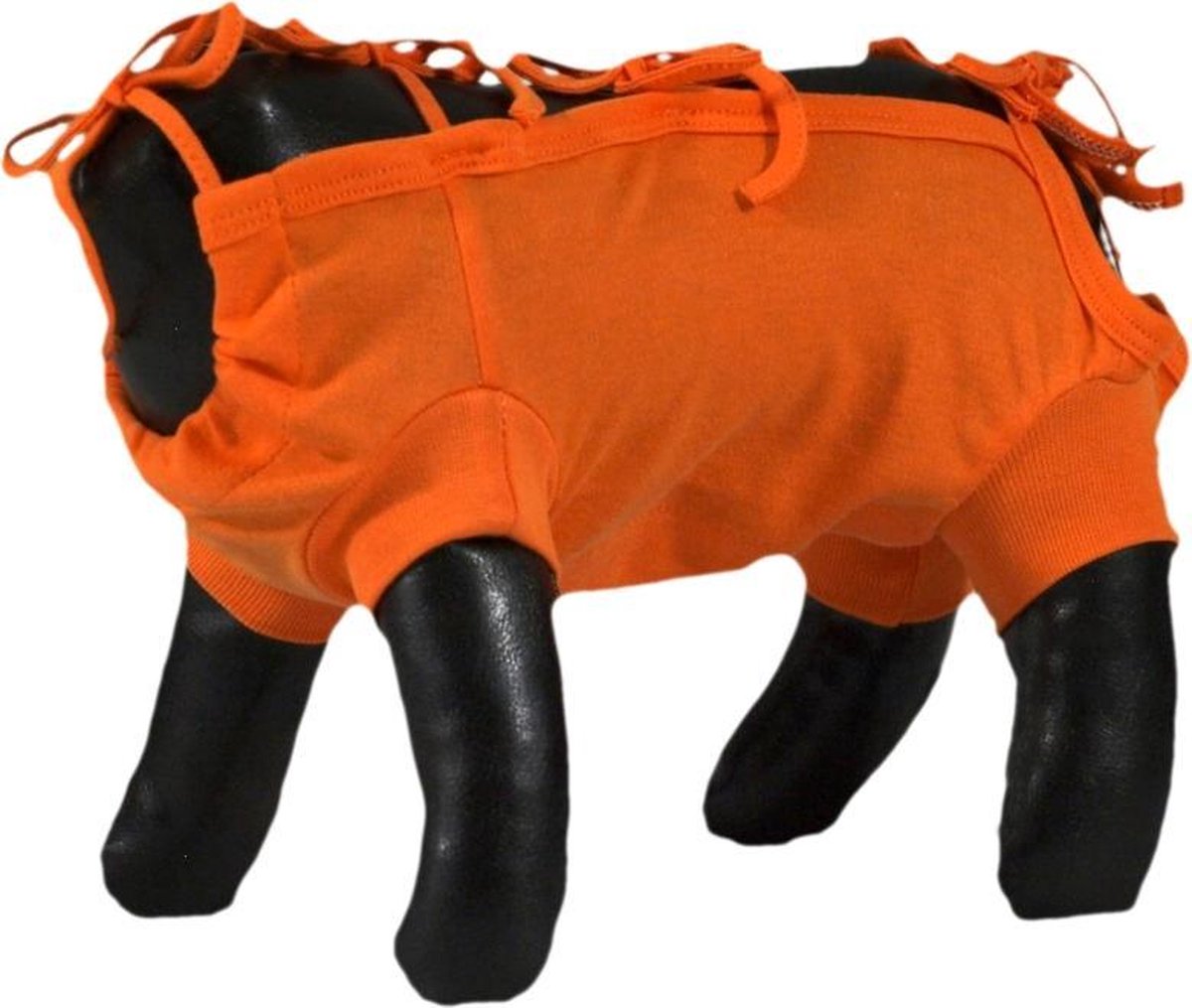 Grande Finale Medical Pet Suite