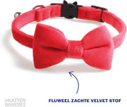 Kattenhalsband velvet met strik | Halsband kat | Kattenband Velours | Kattenbandje velvet met strik