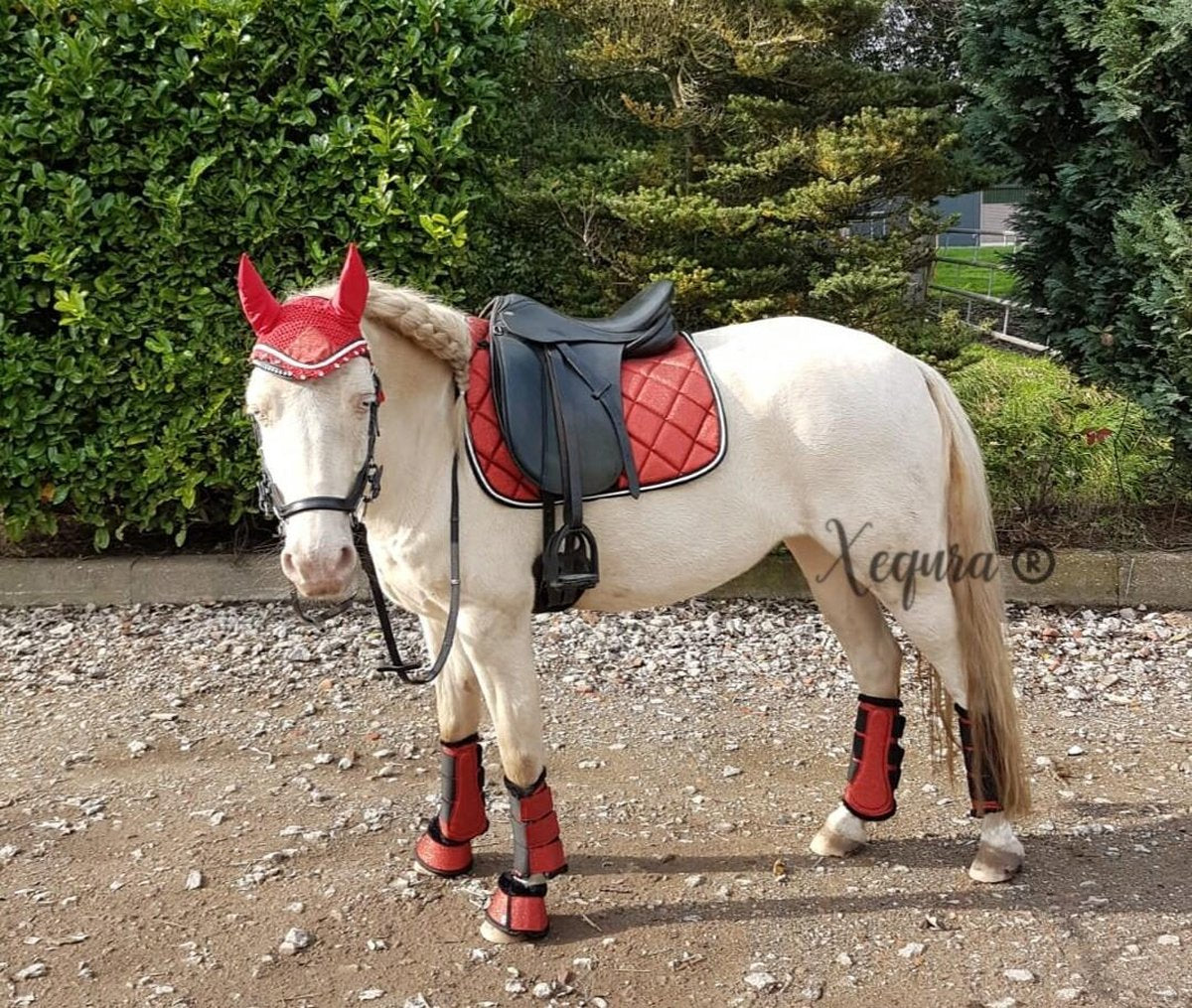 Shine Red - Paard Pony COB - Complete set - Dekje