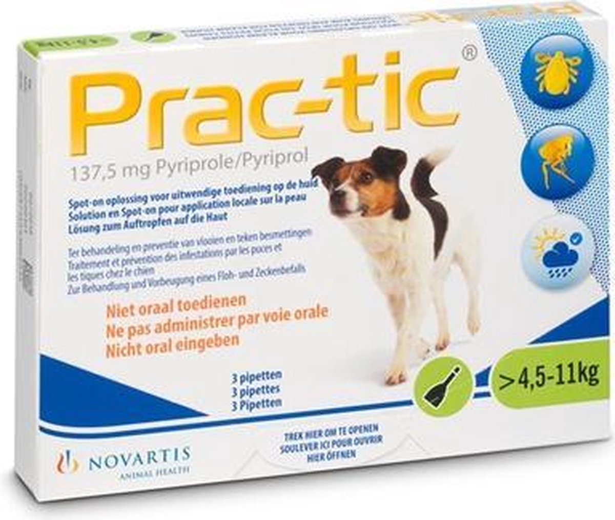 Prac-tic kleine hond 4