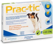 Prac-tic kleine hond 4