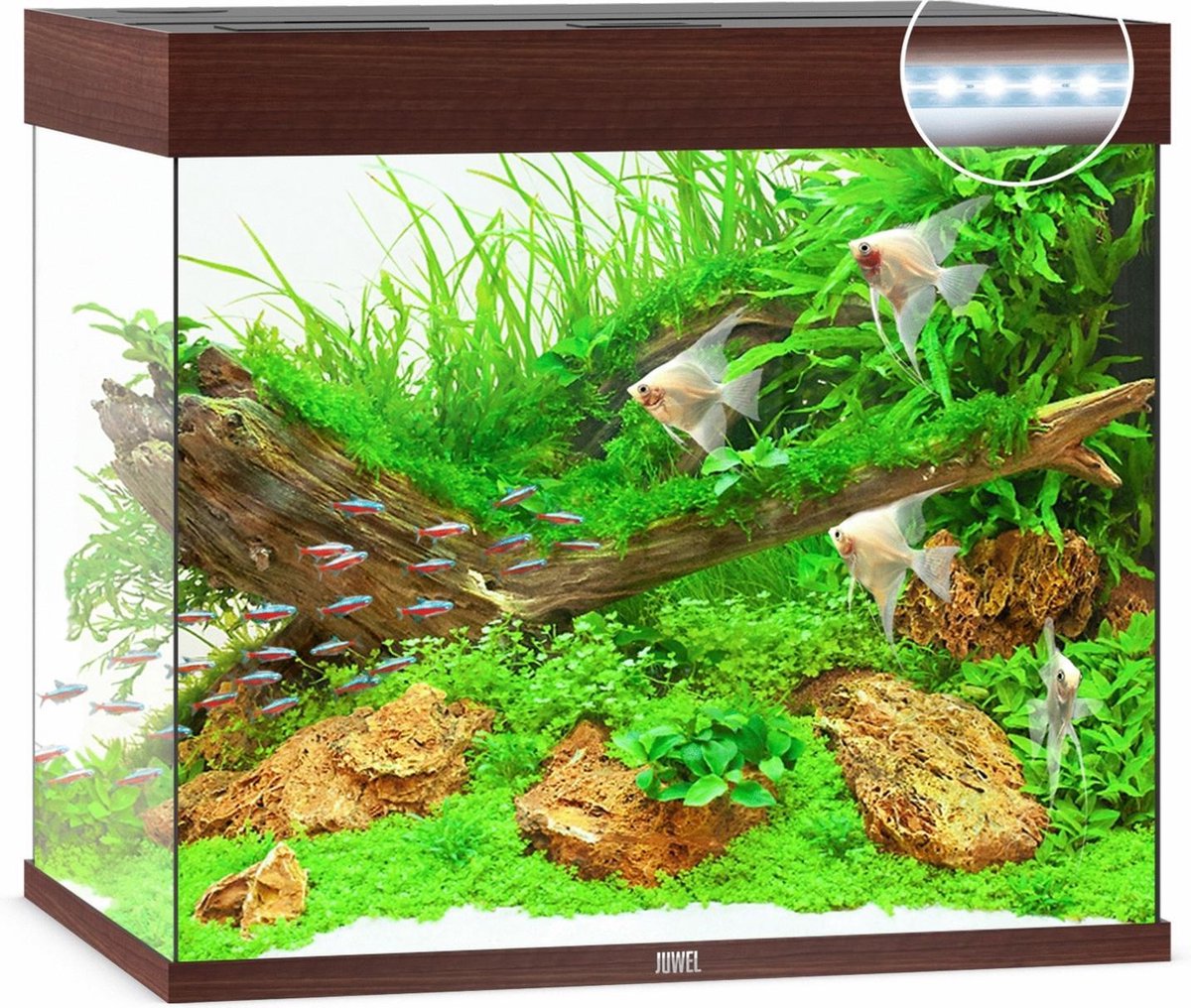Juwel Aquarium Lido 200 Led 71x51x65 cm - Aquaria - Donker Hout