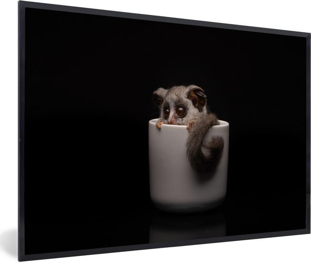Galago baby in een witte beker