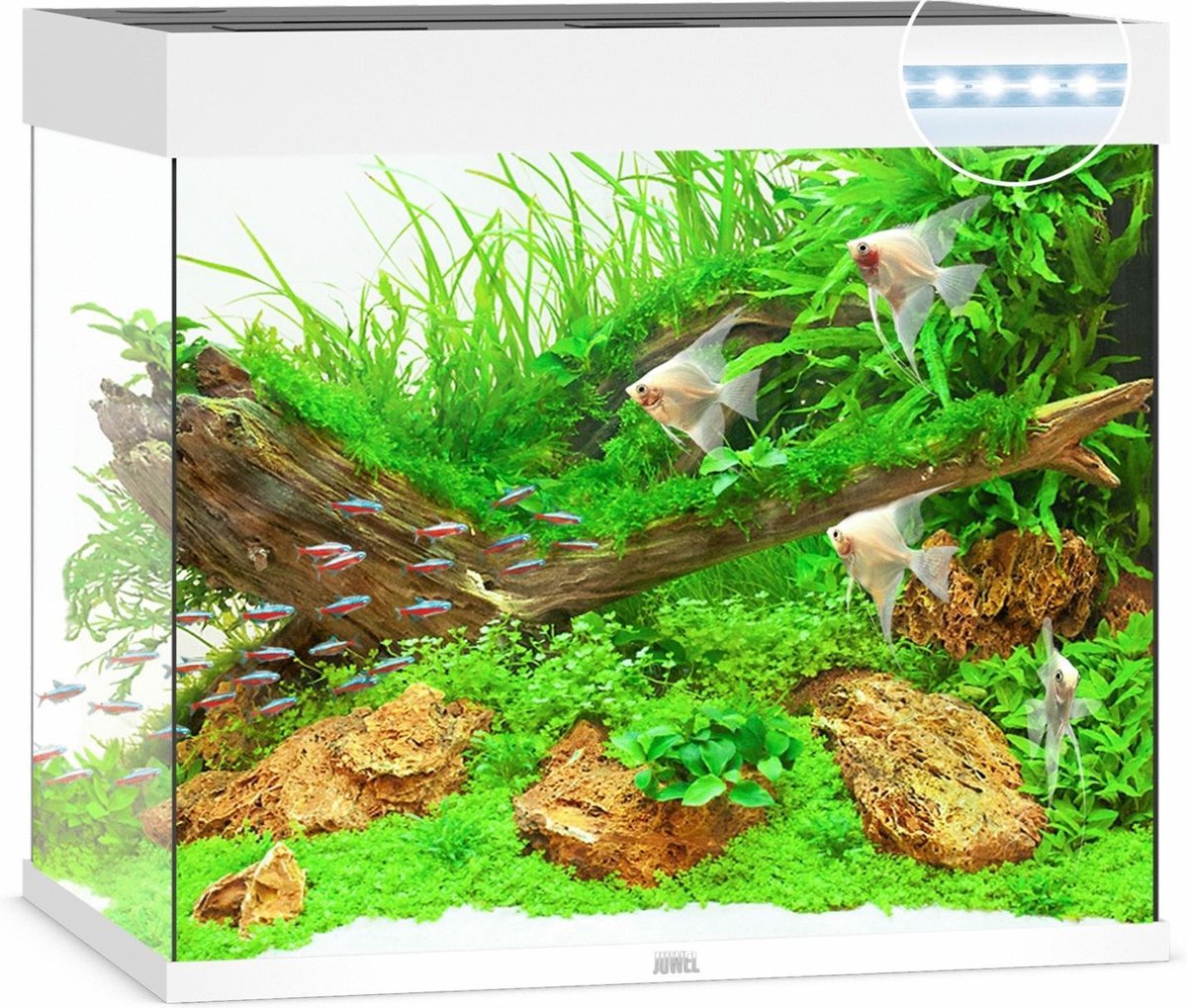 Juwel Aquarium Lido 200 Led 71x51x65 cm Wit Ca. 200 L
