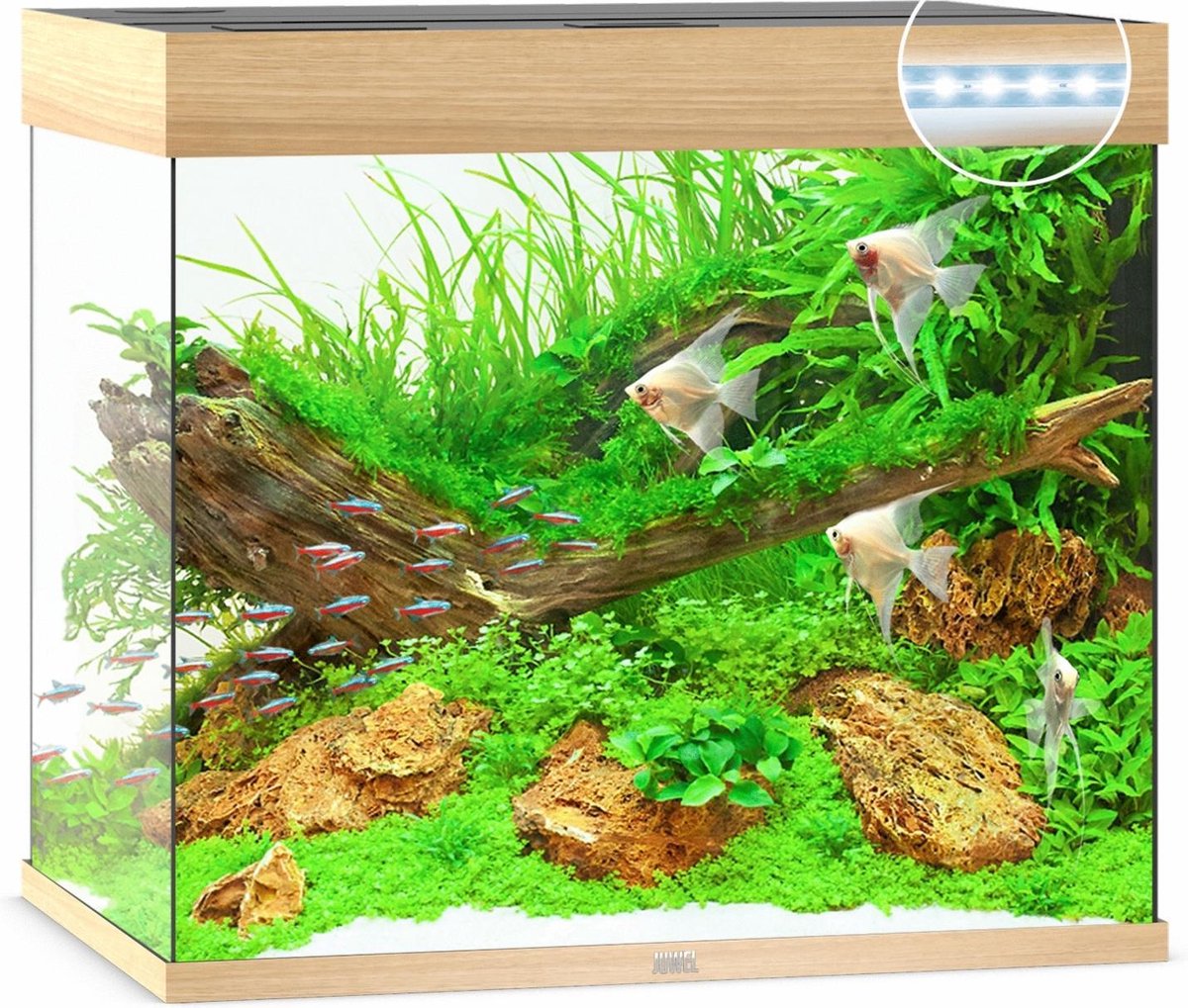 Juwel Aquarium Lido 200 Led 71x51x65 cm Licht Hout Ca. 200 L