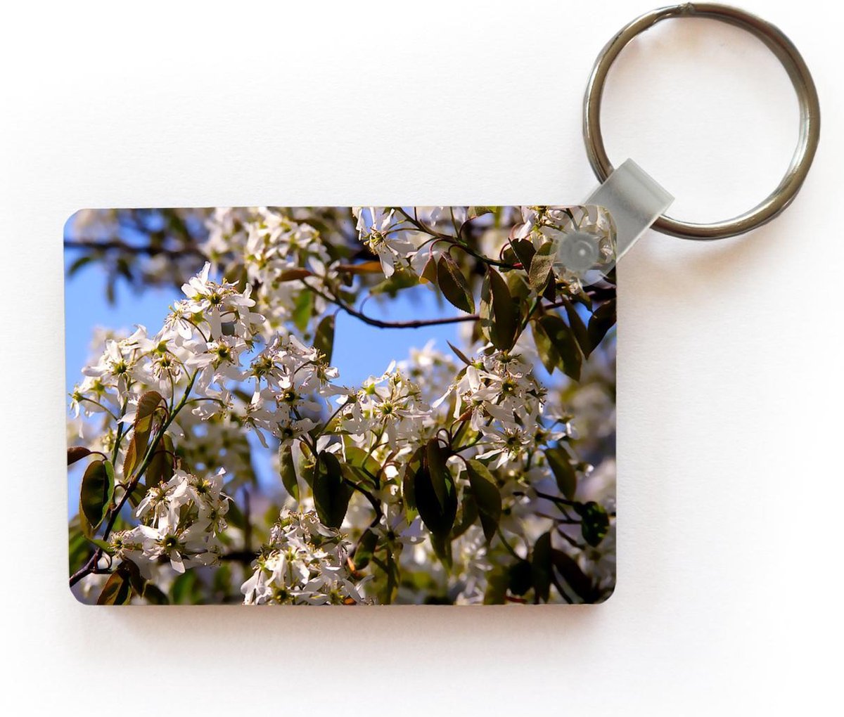 Sleutelhanger - De witte bloemen van de vogelkers - Plastic