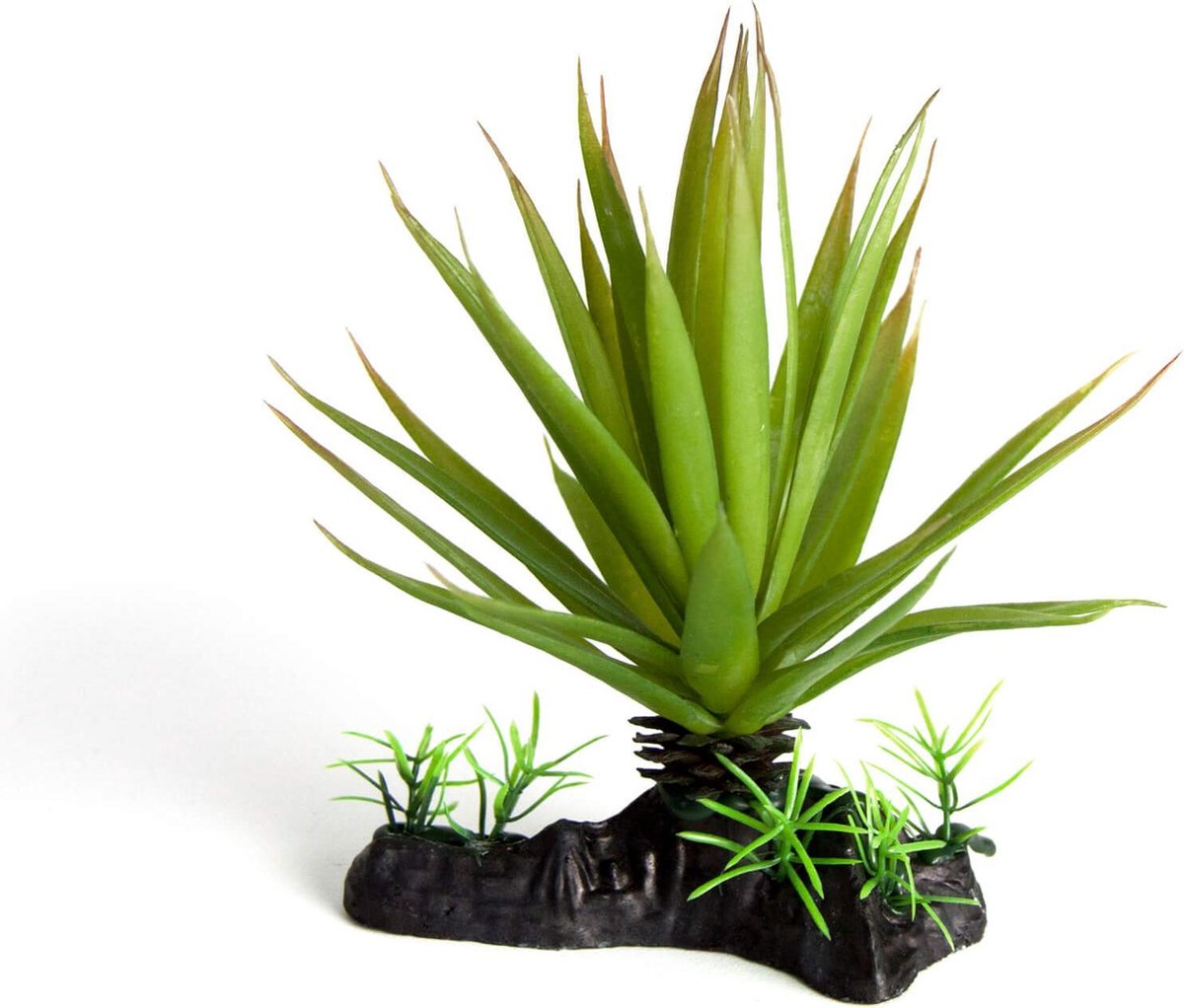 RepTech Terrarium Plant Thin Succulent