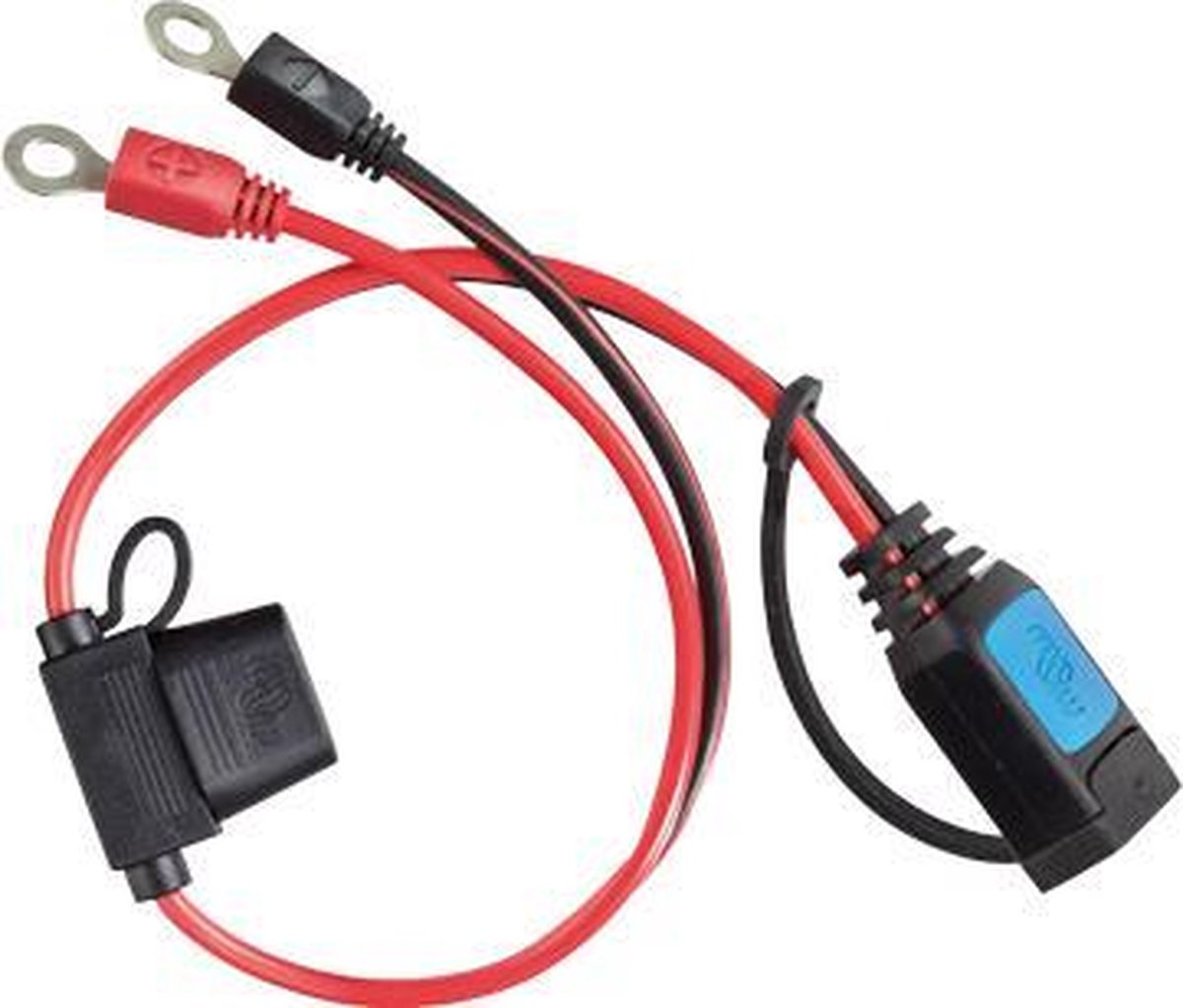 Victron M6 eyelet connector
