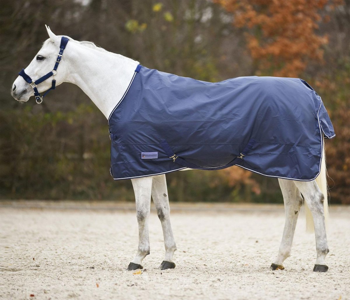 Regendeken economic blauw maat 205