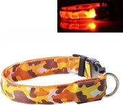 LED Halsband ORANJE maat L