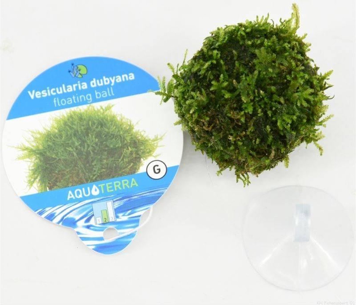 Floating Ball met javamos ( 5stuks in verpakking)