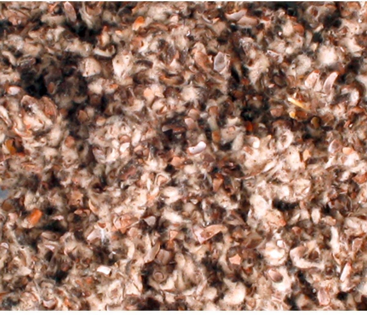 Flamingo Katoenbedding Reukvrij 1