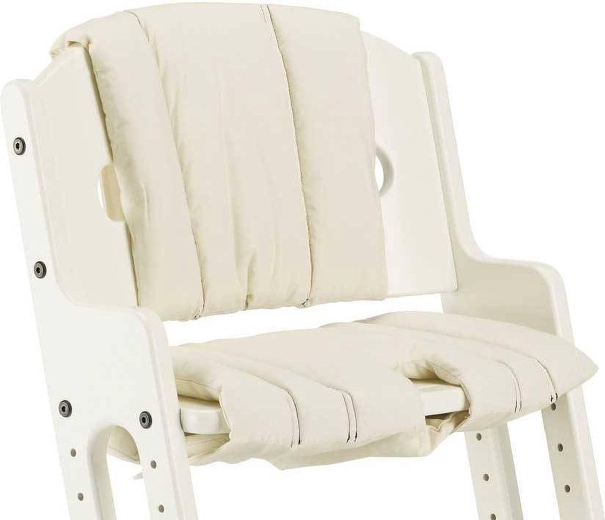 BabyDan Kussen Dan high chair wit