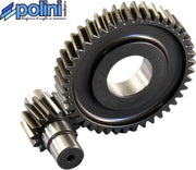 Secundaire Overbrenging Polini 14/43 | Piaggio 4T