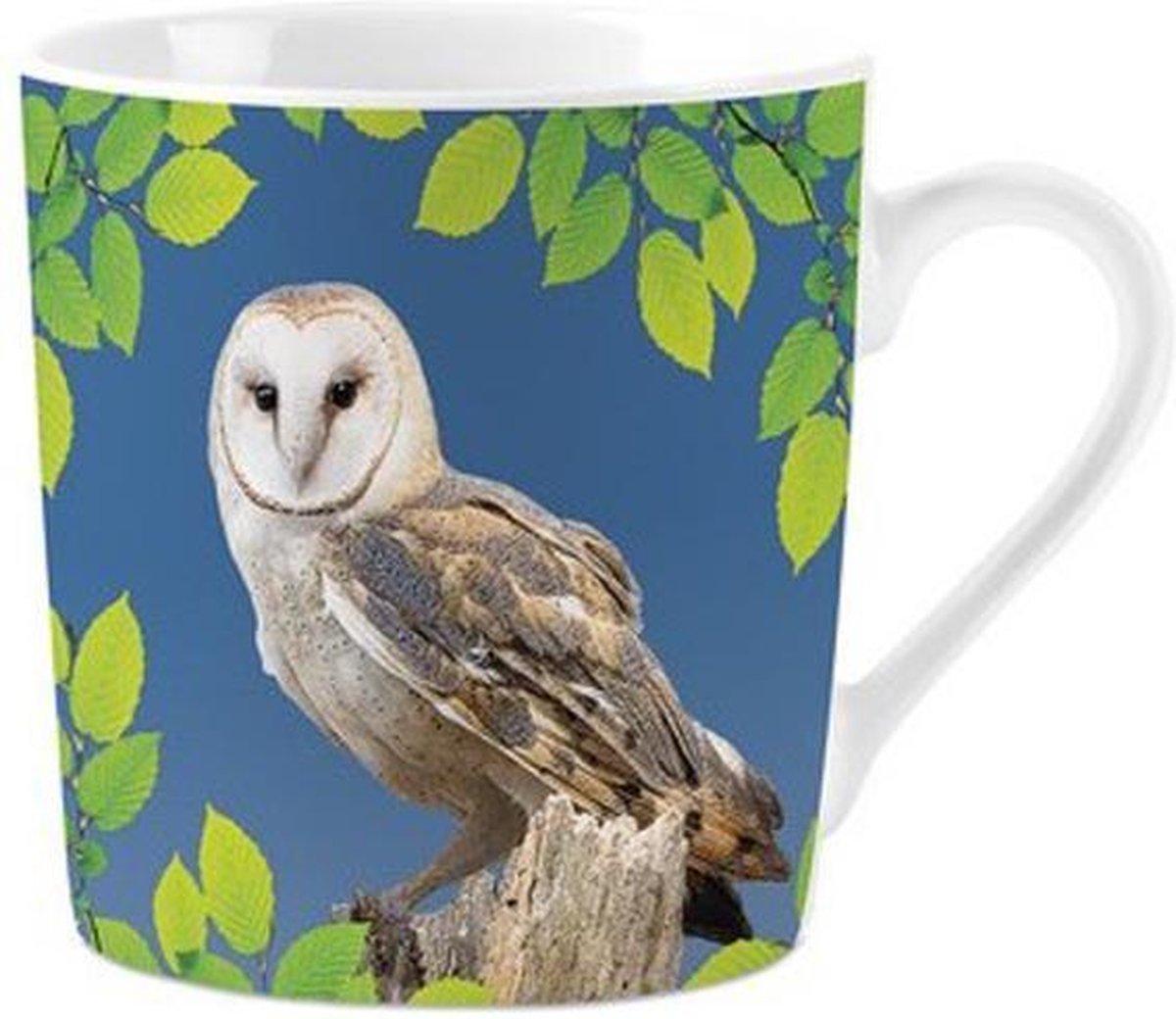 Mok Owls