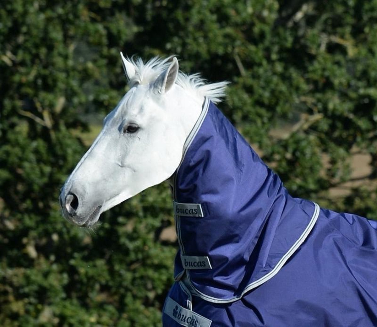 Bucas Atlantic Combi Neck Losse Hals M Navy