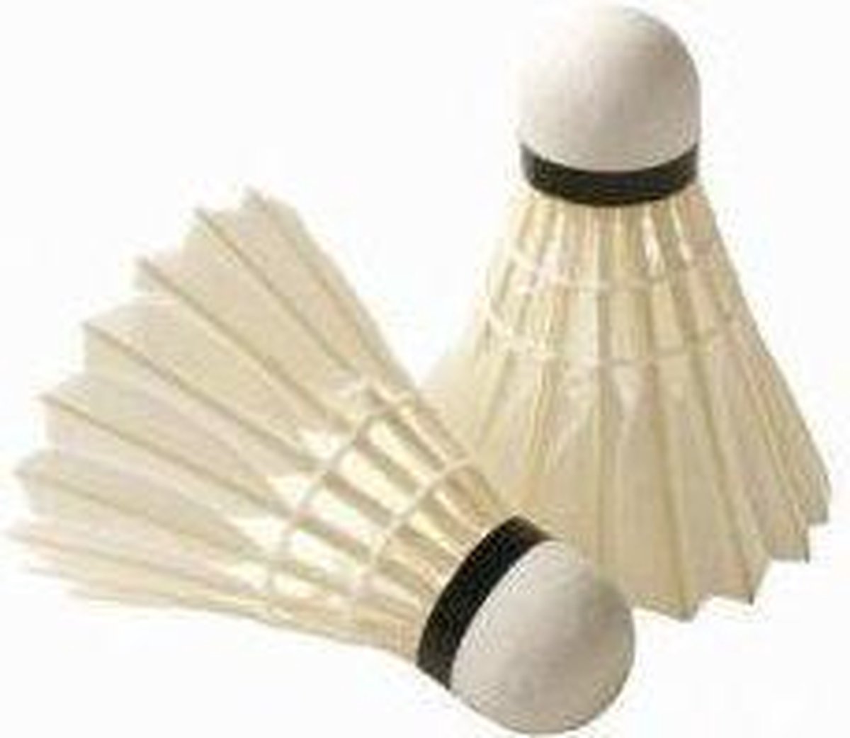 Badmintonshuttle Pro