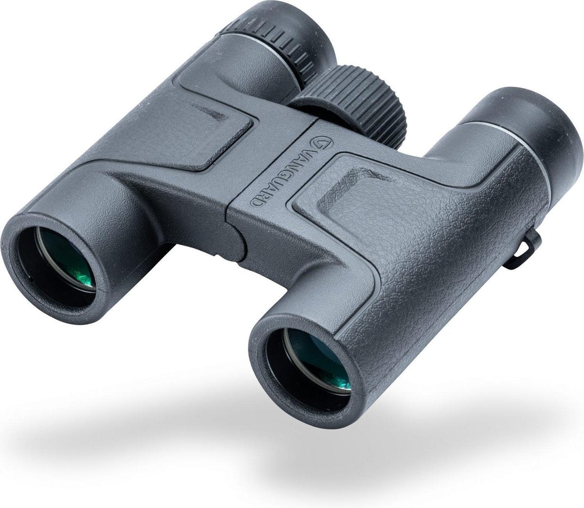 Vanguard Vesta 8250 - Verrekijker Compact 8 x 25 - Waterdicht - Multicoated